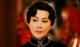 刘嘉玲电视剧,演绎传奇人生，电视剧中的璀璨星光